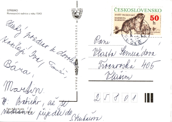 Stříbro 19xx 95 001 ●